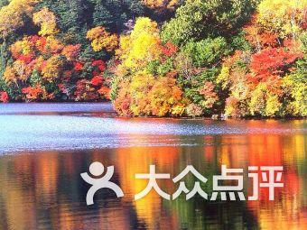 空中抛枪